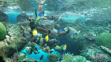 名古屋港水族館に投稿された画像（2021/8/11）