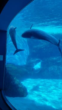 名古屋港水族館に投稿された画像（2021/8/11）