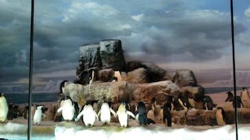 名古屋港水族館に投稿された画像（2021/8/11）