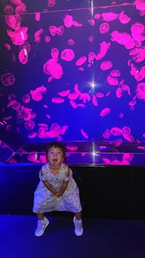 名古屋港水族館に投稿された画像（2021/8/12）