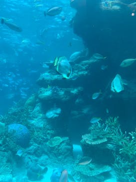 名古屋港水族館に投稿された画像（2021/8/12）