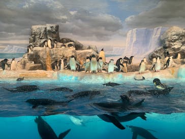 名古屋港水族館に投稿された画像（2021/8/12）