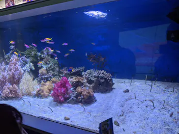 横浜・八景島シーパラダイスに投稿された画像（2021/8/12）