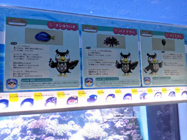 横浜・八景島シーパラダイスに投稿された画像（2021/8/12）