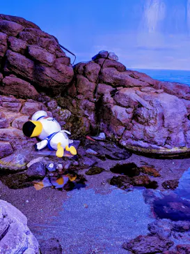 横浜・八景島シーパラダイスに投稿された画像（2021/8/12）