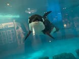 名古屋港水族館に投稿された画像（2021/8/12）
