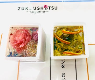 ずこうしつ〜sugamo〜に投稿された画像（2021/8/12）