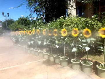 ひらかたパークに投稿された画像（2021/8/12）