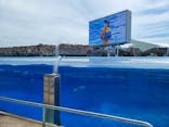 名古屋港水族館に投稿された画像（2021/8/12）