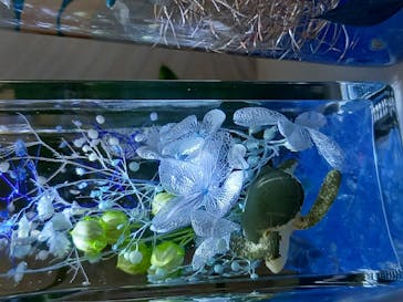 ずこうしつ〜sugamo〜に投稿された画像（2021/8/12）