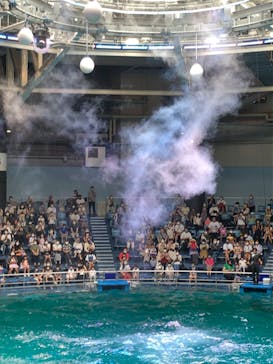 マクセル アクアパーク品川に投稿された画像（2021/8/12）