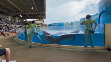 新江ノ島水族館に投稿された画像（2021/8/12）