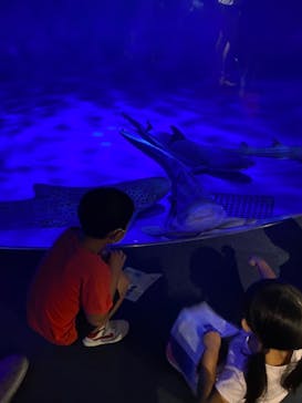 新江ノ島水族館に投稿された画像（2021/8/12）