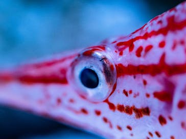 マクセル アクアパーク品川に投稿された画像（2021/8/12）