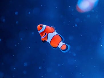 マクセル アクアパーク品川に投稿された画像（2021/8/12）