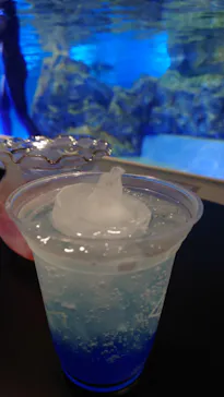 すみだ水族館に投稿された画像（2021/8/12）