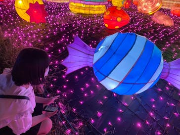 伊豆ぐらんぱる公園に投稿された画像（2021/8/12）