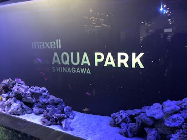 マクセル アクアパーク品川に投稿された画像（2021/8/12）