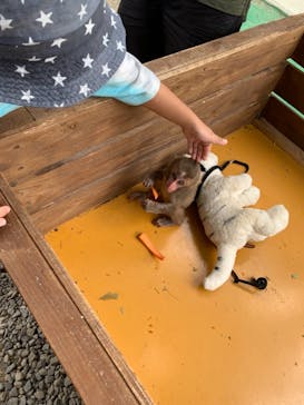 しろとり動物園に投稿された画像（2021/8/12）