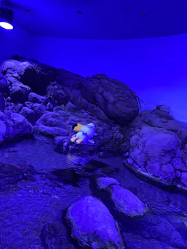 横浜・八景島シーパラダイスに投稿された画像（2021/8/12）