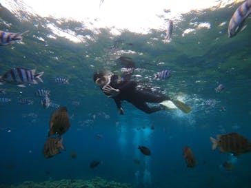 武藤潜水に投稿された画像（2021/8/12）