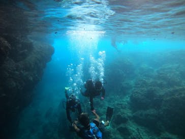 武藤潜水に投稿された画像（2021/8/12）