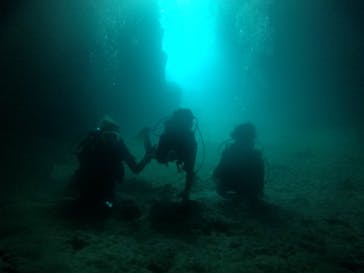 武藤潜水に投稿された画像（2021/8/12）