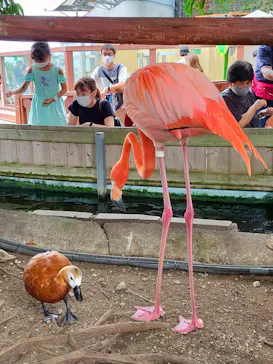 横浜・八景島シーパラダイスに投稿された画像（2021/8/12）