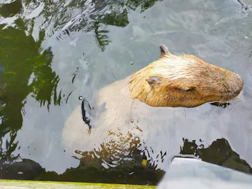 横浜・八景島シーパラダイスに投稿された画像（2021/8/12）