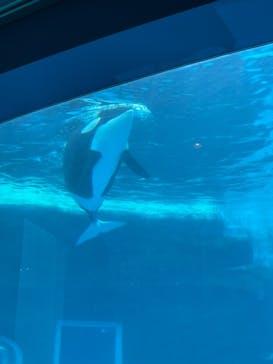 名古屋港水族館に投稿された画像（2021/8/12）
