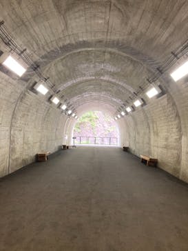 清津峡渓谷トンネルに投稿された画像（2021/8/12）