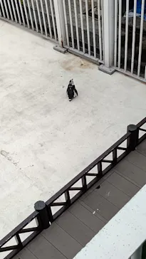 横浜・八景島シーパラダイスに投稿された画像（2021/8/12）