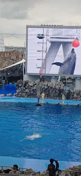 名古屋港水族館に投稿された画像（2021/8/12）