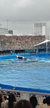 名古屋港水族館に投稿された画像（2021/8/12）