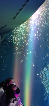 名古屋港水族館に投稿された画像（2021/8/12）