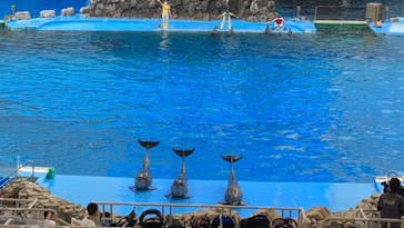 名古屋港水族館に投稿された画像（2021/8/12）
