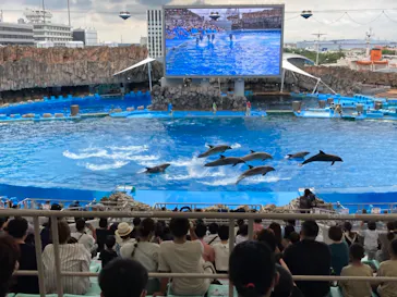 名古屋港水族館に投稿された画像（2021/8/12）