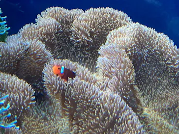 名古屋港水族館に投稿された画像（2021/8/12）