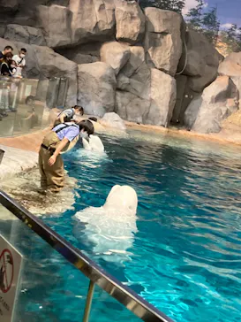 名古屋港水族館に投稿された画像（2021/8/12）