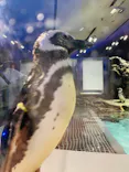 すみだ水族館に投稿された画像（2021/8/12）