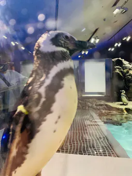 すみだ水族館に投稿された画像（2021/8/12）