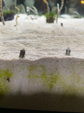 京都水族館に投稿された画像（2021/8/12）