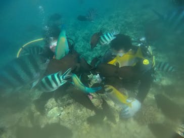 武藤潜水に投稿された画像（2021/8/12）