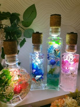 ずこうしつ〜sugamo〜に投稿された画像（2021/8/12）