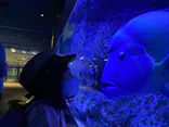 すみだ水族館に投稿された画像（2021/8/12）
