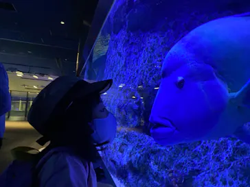 すみだ水族館に投稿された画像（2021/8/12）
