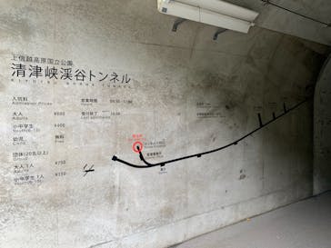 清津峡渓谷トンネルに投稿された画像（2021/8/12）