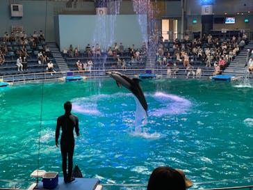 マクセル アクアパーク品川に投稿された画像（2021/8/12）