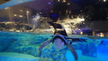 すみだ水族館に投稿された画像（2021/8/12）