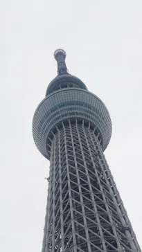 すみだ水族館に投稿された画像（2021/8/12）